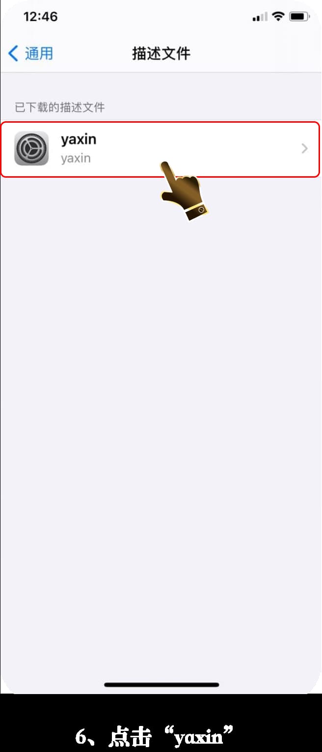 亚星iOS版App安装步骤图解6